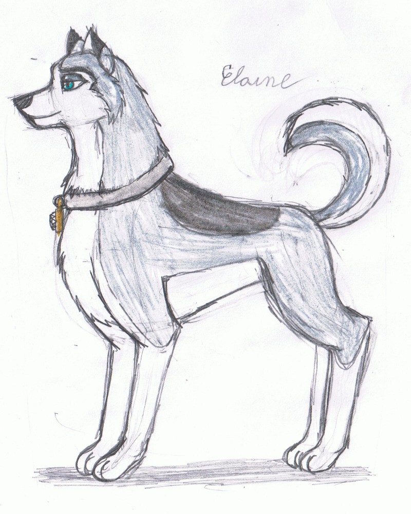 Elaine design study