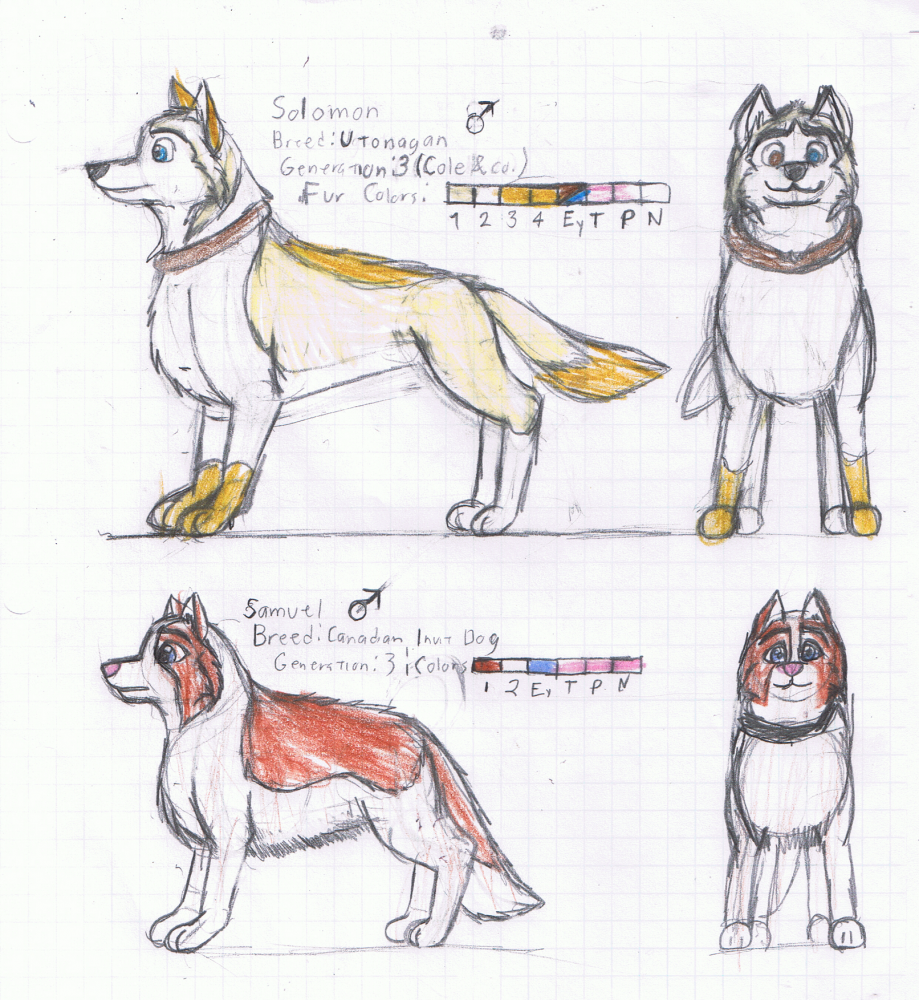 Character concepts