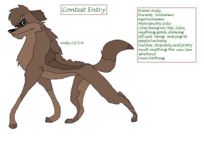 	Contest Entry