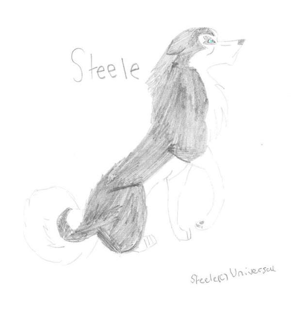 Steele