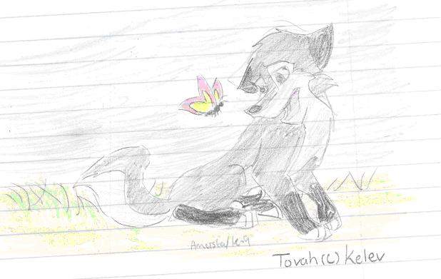              Tovah (c) Kelev
