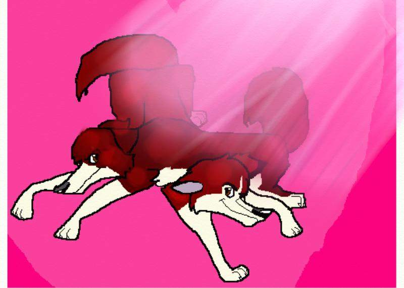 Happy Valentines Day!!!!