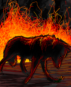 burn