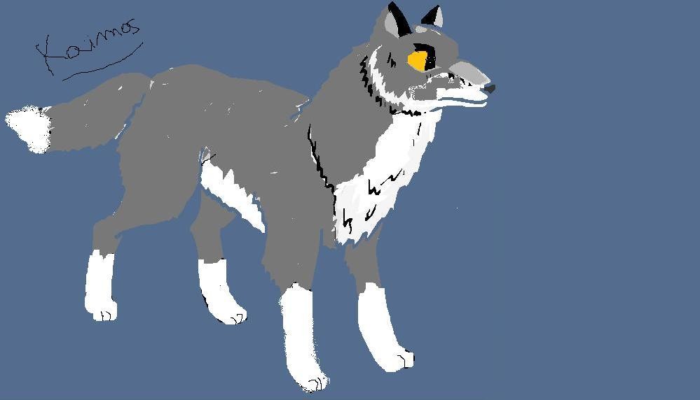 premier essay de balto