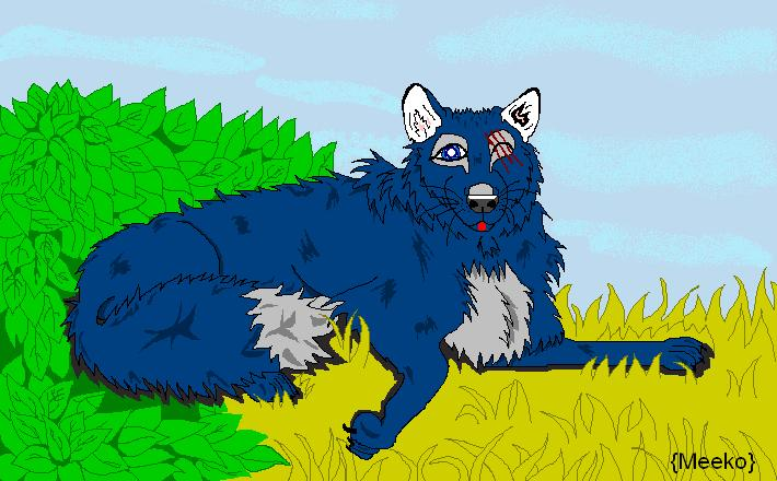 Neketa in the Grass