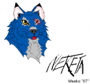 Neketa Head