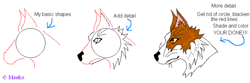 Side-Head Anatomy (MS Paint)