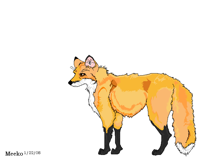 Fox