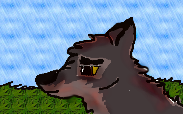 Firstie of Balto!