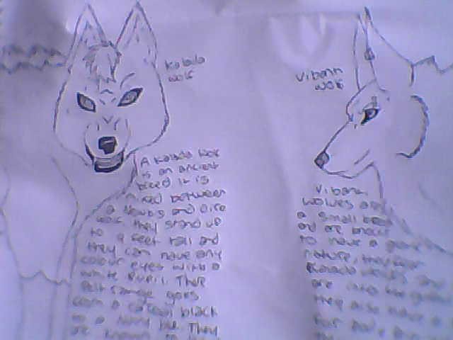Kalada Wolves and Vibanti Wolves