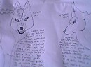Kalada Wolves and Vibanti Wolves