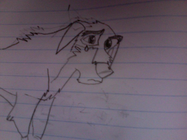 Sad Balto 