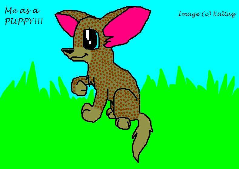 Lil Puppeh
