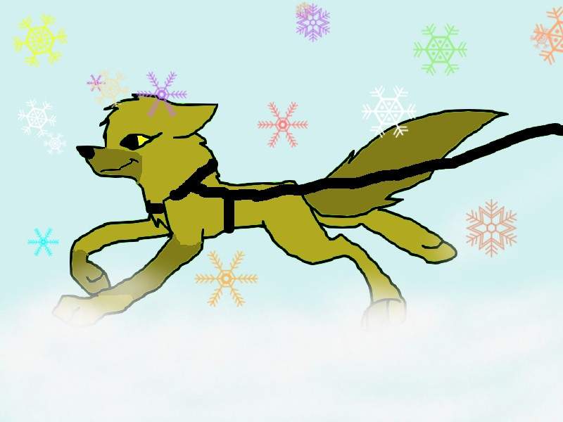 Wolf Running