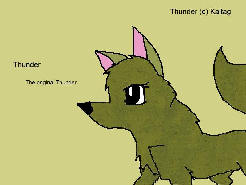 Thunder