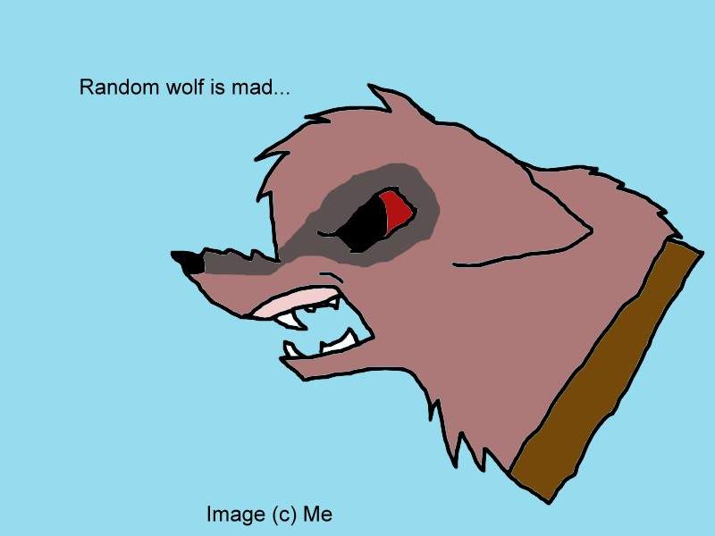 random wolf is mad