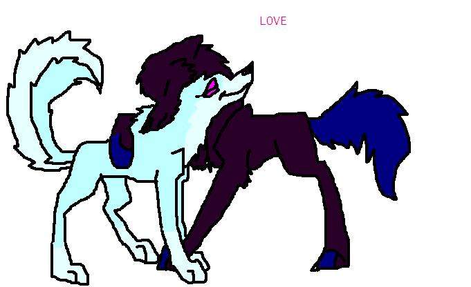 Dragonheart and Icepaw:LOVE