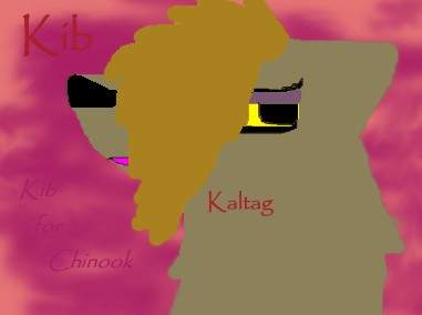 Kib