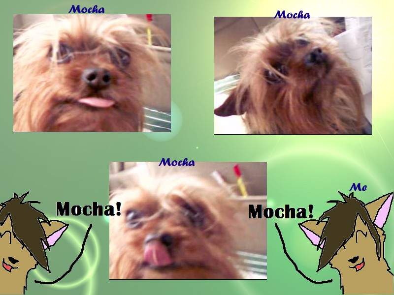 MOCHA!!!!