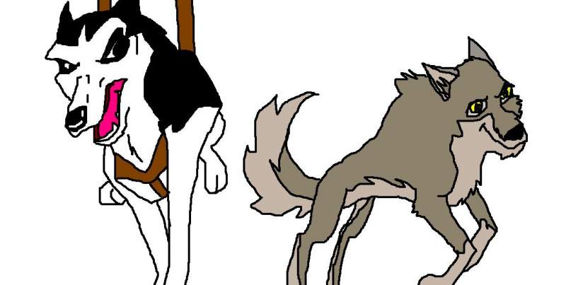 Steel and Balto