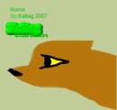 Numa