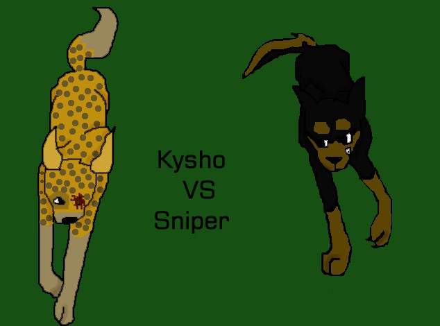 Kyro VS Sniper