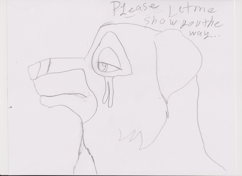 please, let me show you the way