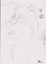 balto as a pup