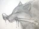 Wolfie with a Bone