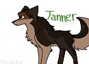 Trade with Emi----Tanner