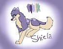 New char-Shiela
