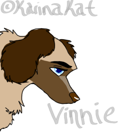 New char-Venessa