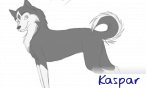 kaspar