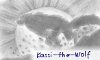 Kassi-the-Wolf
