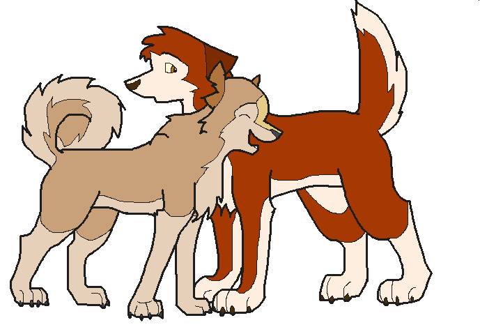 Dingo and Sandy