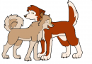 Dingo and Sandy