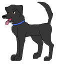 Tucker