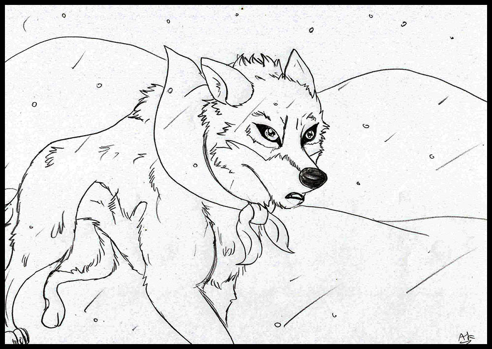 Balto style wolfs rain