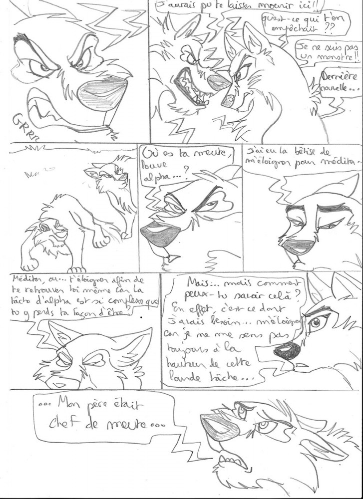 Niju et Aleu la quête du loup
