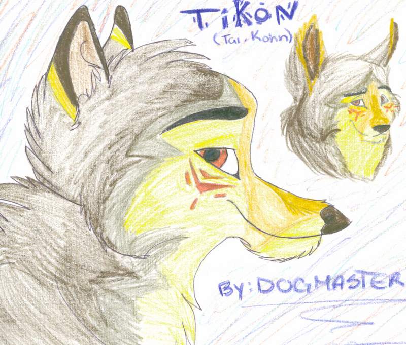 Tikon