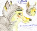 Tikon