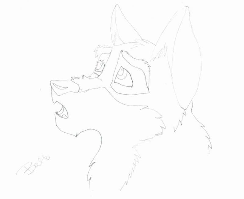 1st Balto pic