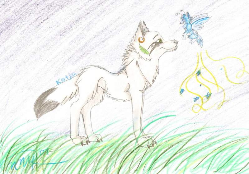 Katja and Firefly