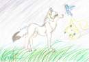 Katja and Firefly
