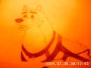 Kodi(suprised)