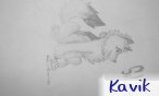 kavik