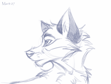 Balto sketch