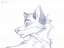 Balto sketch