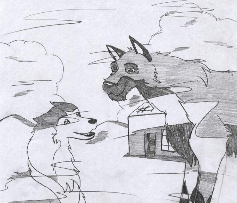 Take on Balto