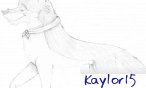 kaylor15